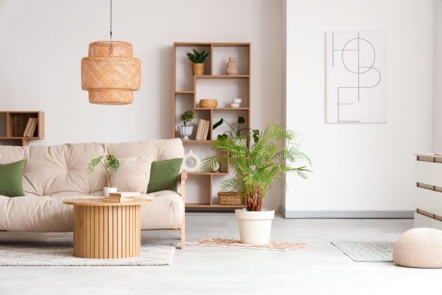 ������������� �����: ��� ������� ��������� ������������ ��� ����� � ������