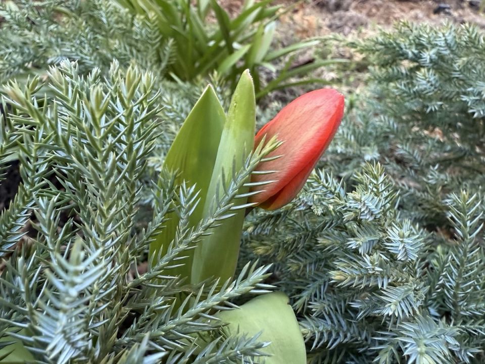 �������� �������: 11 ����� ������ ������ ��� ������ ����