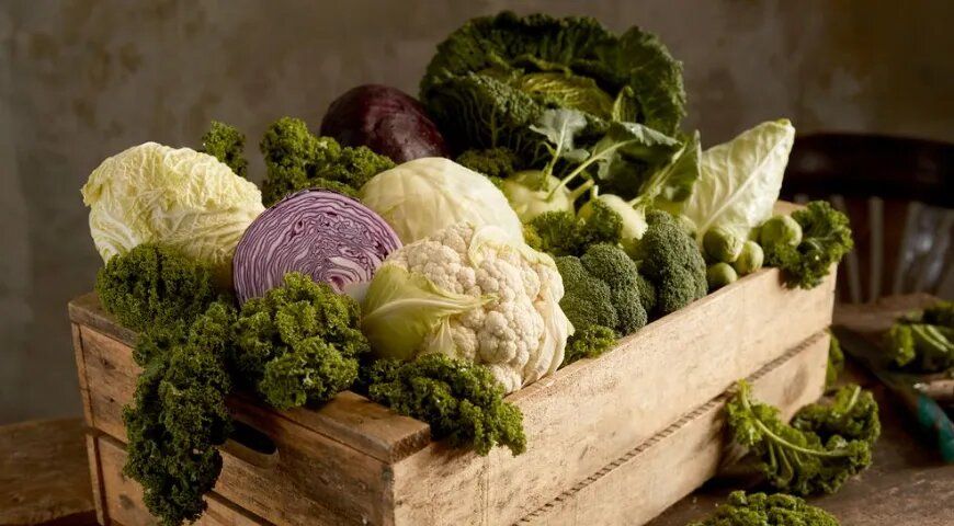 �������: ���� � ������� �������� � ������������ �������������� ��� ��������