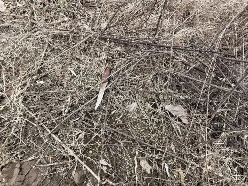 ����� ������� ������. ������� ������� ���� ������������: ��� ������� ���������� ���������