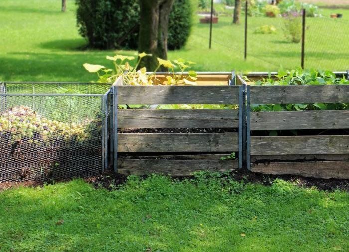 12 ������� �� ���������������: ��� ������� ��� ��� ����� �����������