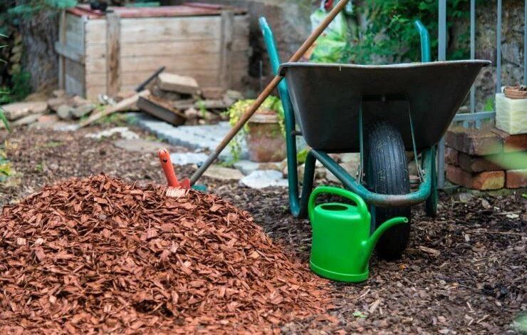 ������ �������������: ��� �������� �������� � ����������� ����� � ������ ������