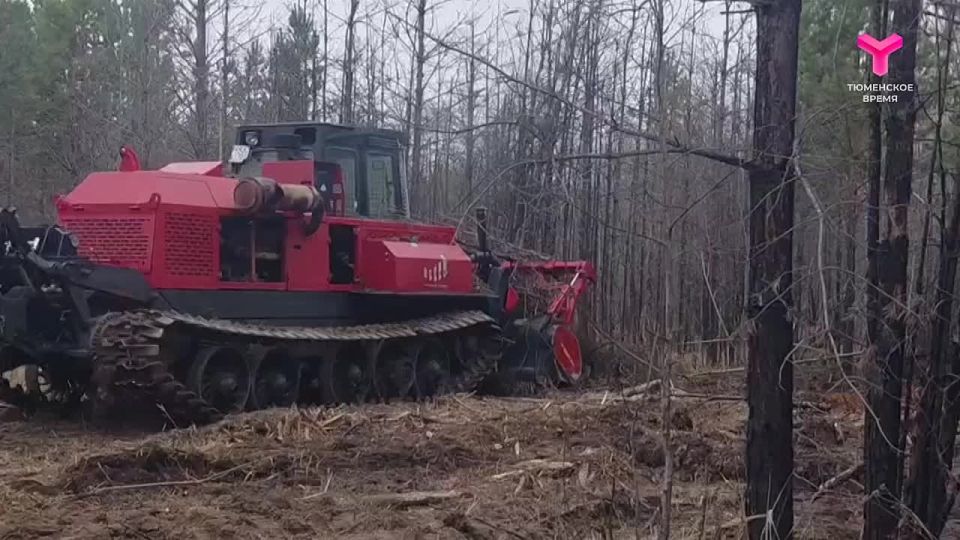 � 6 ������ � ��������� ������� ���������� ������������� �����