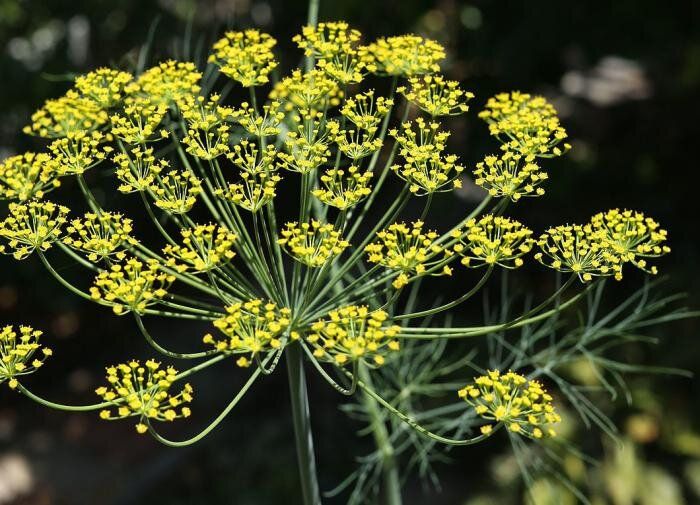 ��� �������� � ����� ������� ��������� ���� �� ����� �������