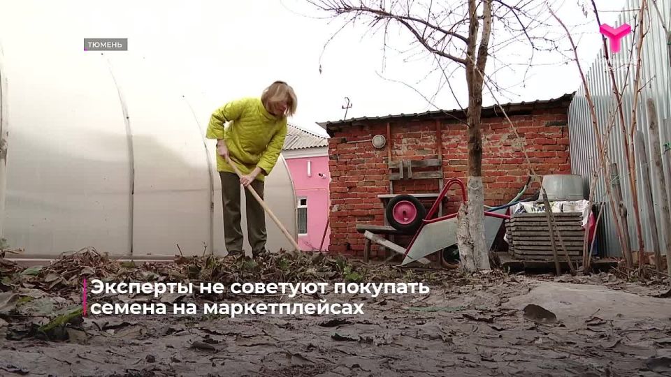 ����-������: ������������� ���������� ��������