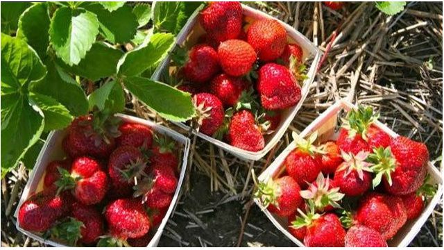 ��� ��������� �������� � ������ ������: ������ ������� ���������