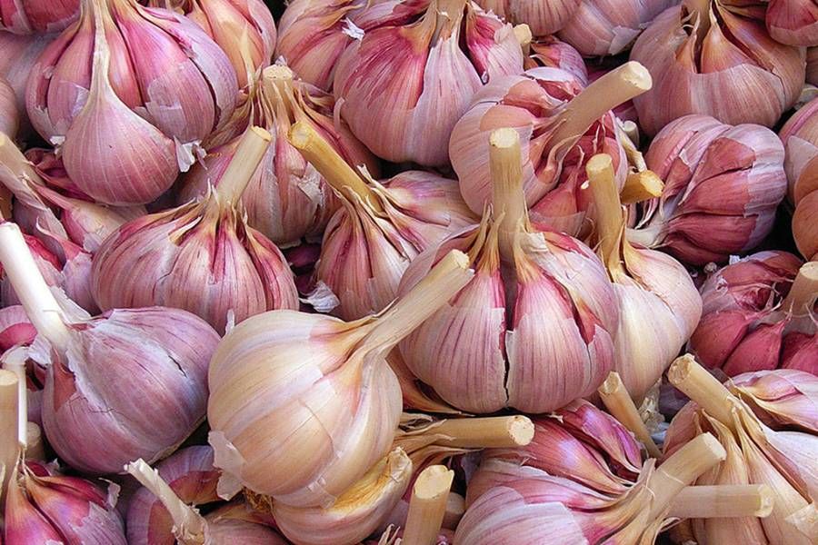 ������ � ��������: ����������� ������ �� ����� �������