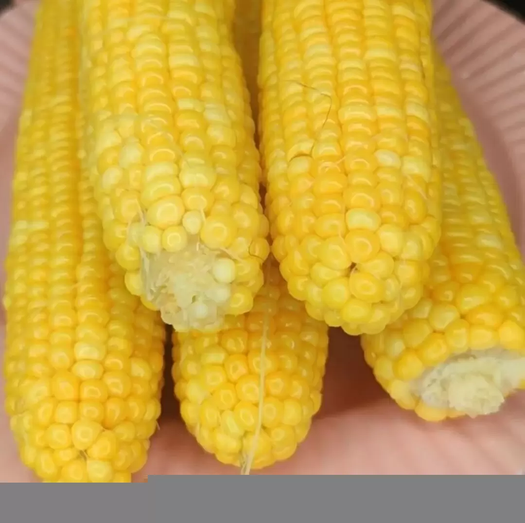Как сварить кукурузу: секреты, которые преобразят ваш летний стол