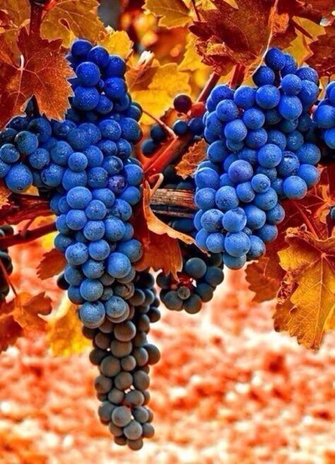 ������� ��� ������������: �������� ������ ��� ��������� ������