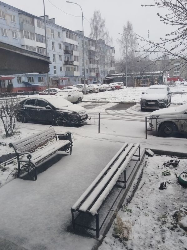 ���� ������ ����. ����� �� ������������ ��������?