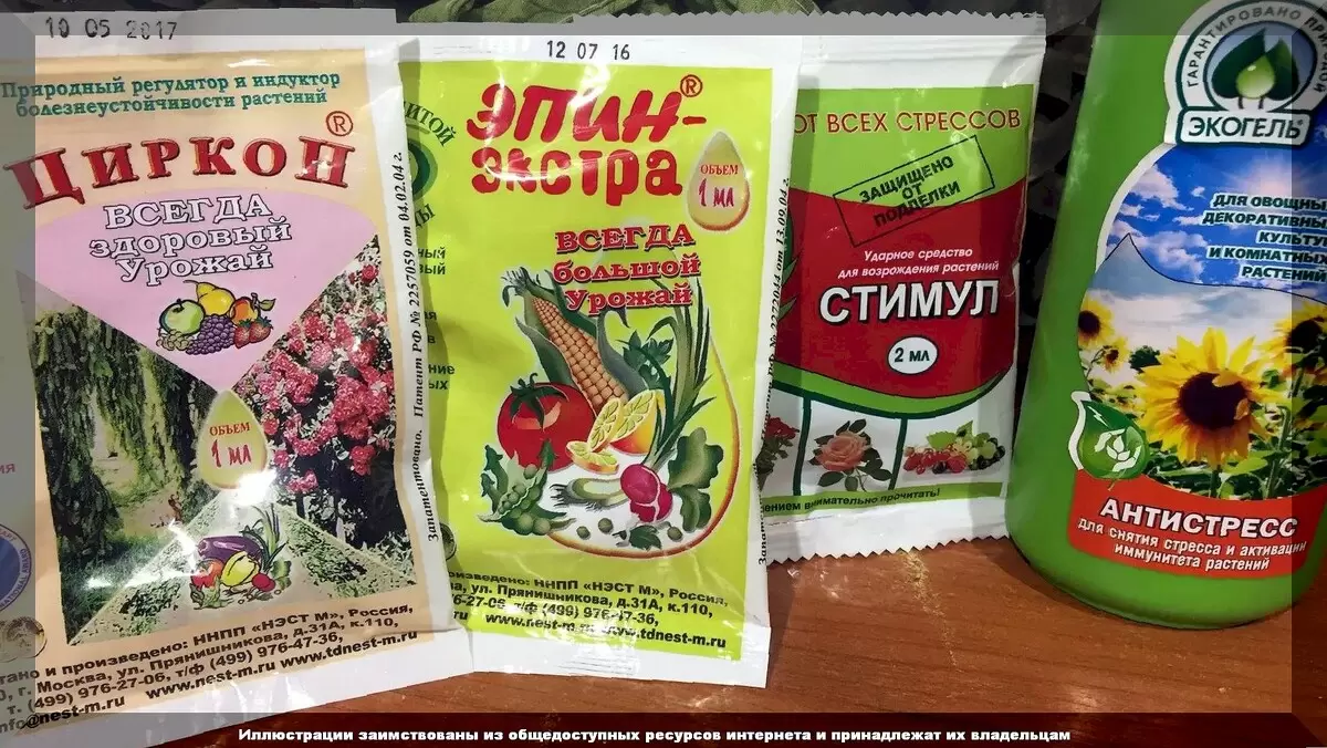 Искусство составления баковых смесей: секреты успешной обработки растений