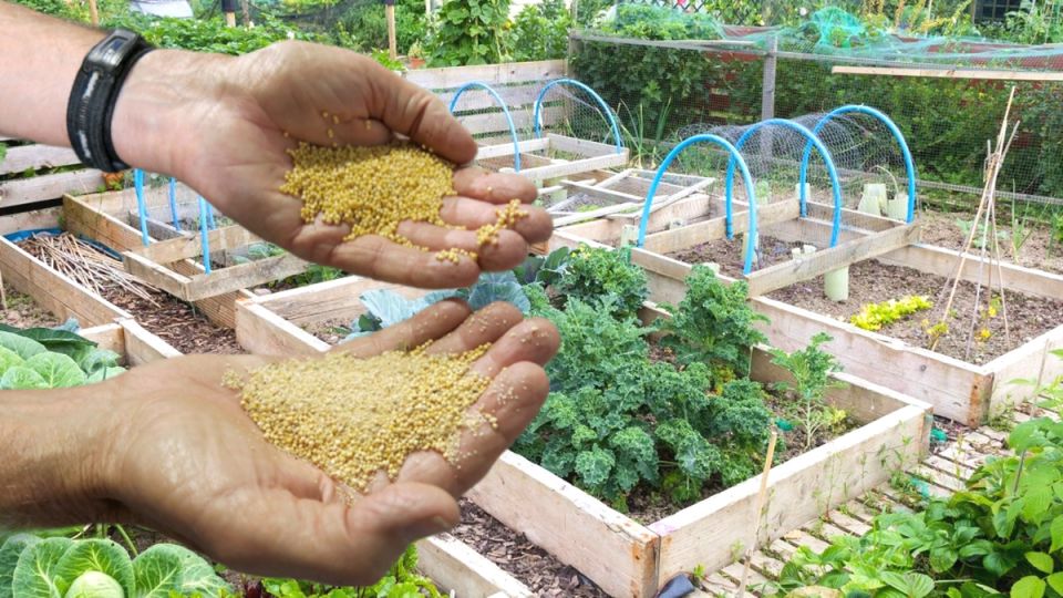 ��� ����� �� 73 ����� ���������� ���� ���� � ����� ����������