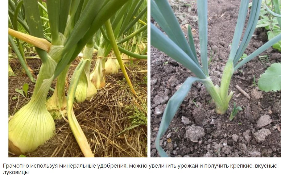 ��� ���������� ��� � ���� ��� �������� ������