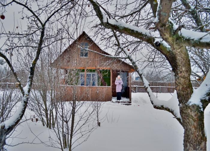 ������ �� ���� � ������: �������� ���� ��� ������ ����������