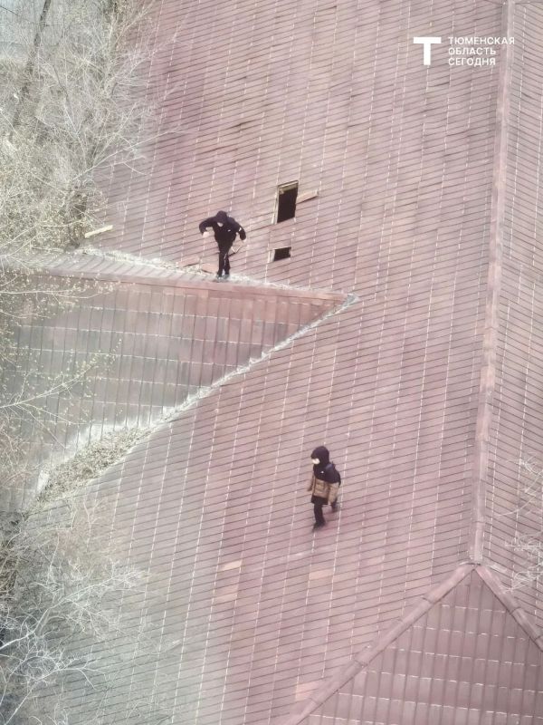 ���� ����� ���� �������� �� ����� ������ �� �������� � ������