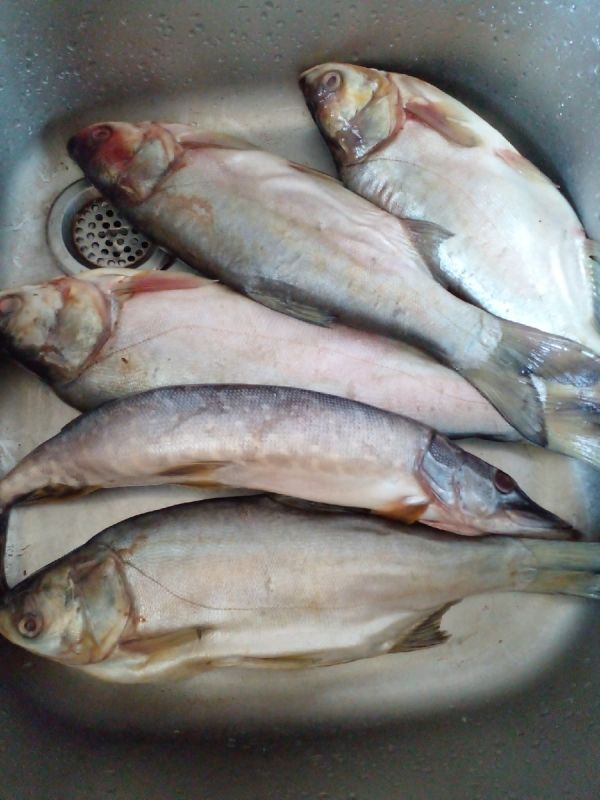 ���������� ���� � ����������� ��������: ������ �������� ������