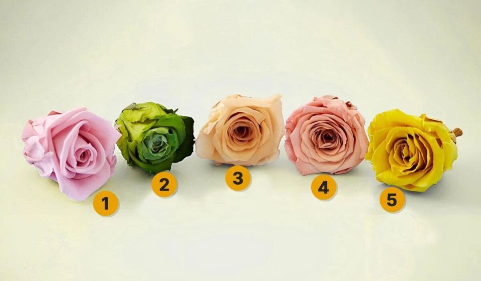 ���������� ������: ��� ����� �������� ������, ��� �� ����������� �� ��������