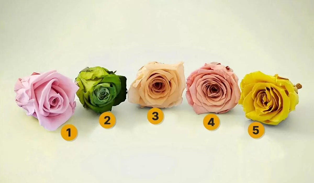 Психология выбора: Как цветы помогают понять, как мы справляемся со стрессом