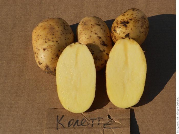 ��������� �����: ������������� ���� � ������� ��������� � �������� ���������