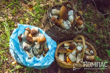 ��� ��������� ������ �����: ������ ���������� ��� ������ �����