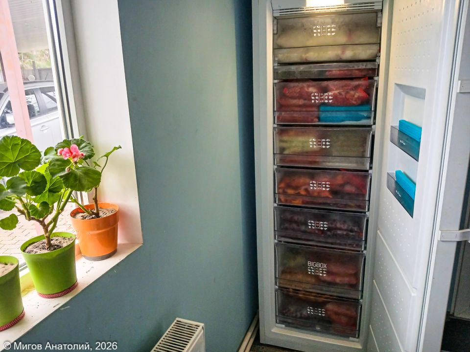 ������������ ������������: ��� ���������� ������ � ������ ���������