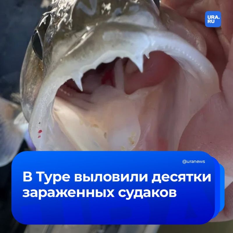 ���� � ���������: ��������� ������ ���������� �������� ��������� ������