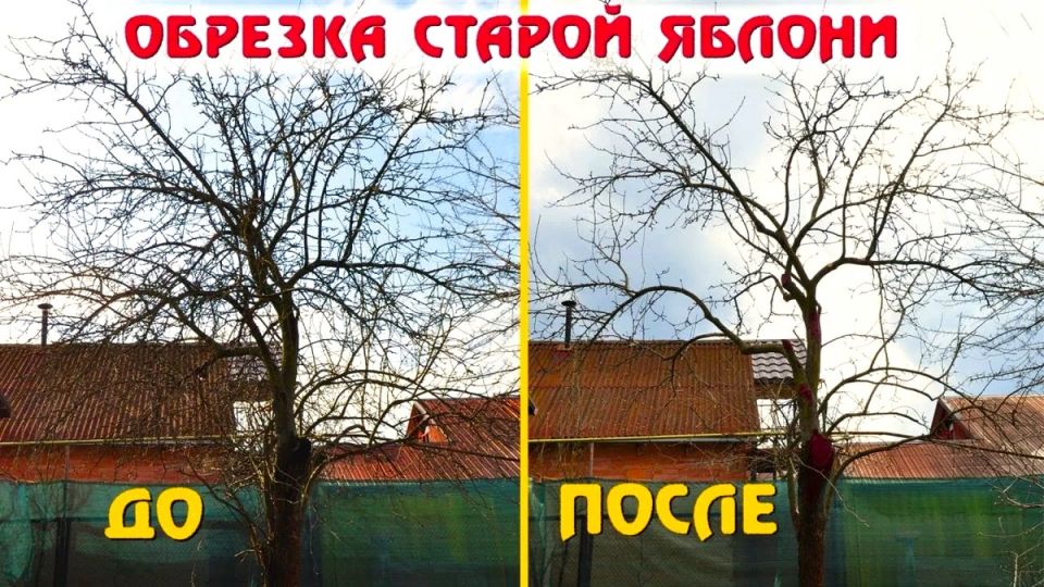 ��� ������� ������ ������ � �����: ������ ������������� ������� � �����