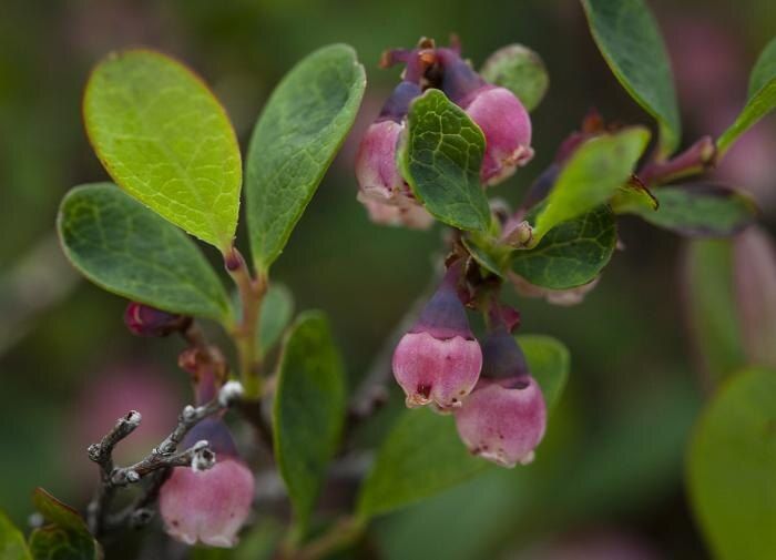 ��������� ���� � �������: ��� �� ��������� �������� � ��� ��� ��������