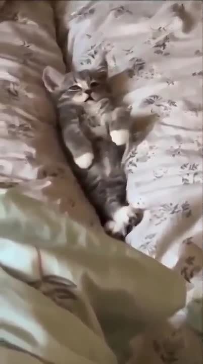 ������� � ��� ����� ��� ����� � �����