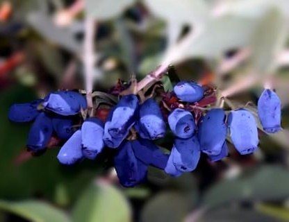 ������� ��������� ������: ��� ���������� ���� ������ ������