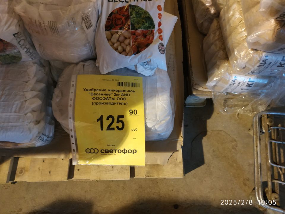 �������� � 2025: ��� ���� ��������� �������?