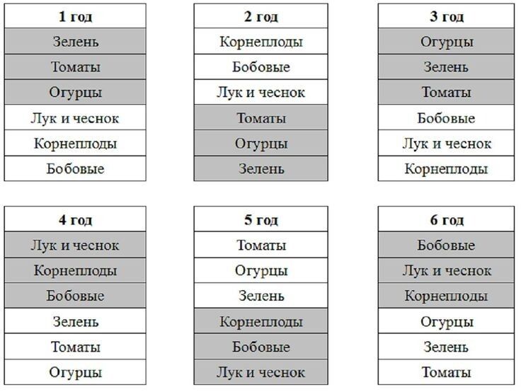 ��� ��������� ����������� ����������: ������� ��������� ������ ������