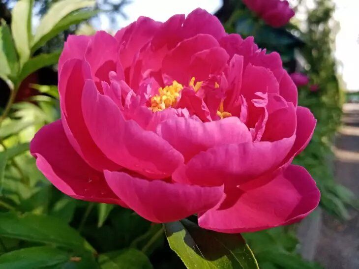 ��� ���������� �����: ������� ����� ����� ��������