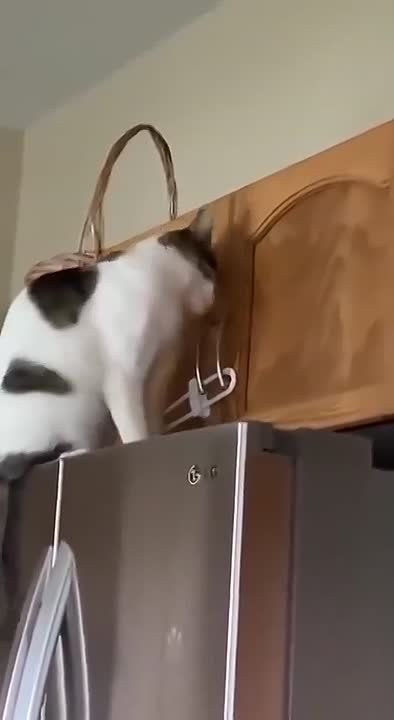 ��� � ��� ���������� �� ����� ������: