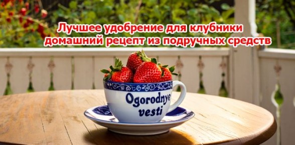 ��������� ��������� ��� ��������: ������� ��������� ������