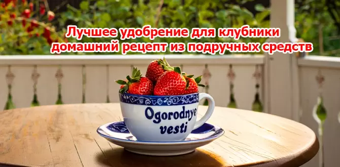 Экономное удобрение для клубники: секреты успешного урожая