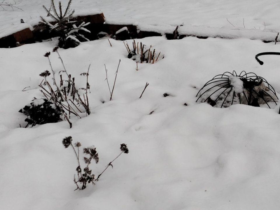 ��� ����������� ���� ����� ��������� ������ ����