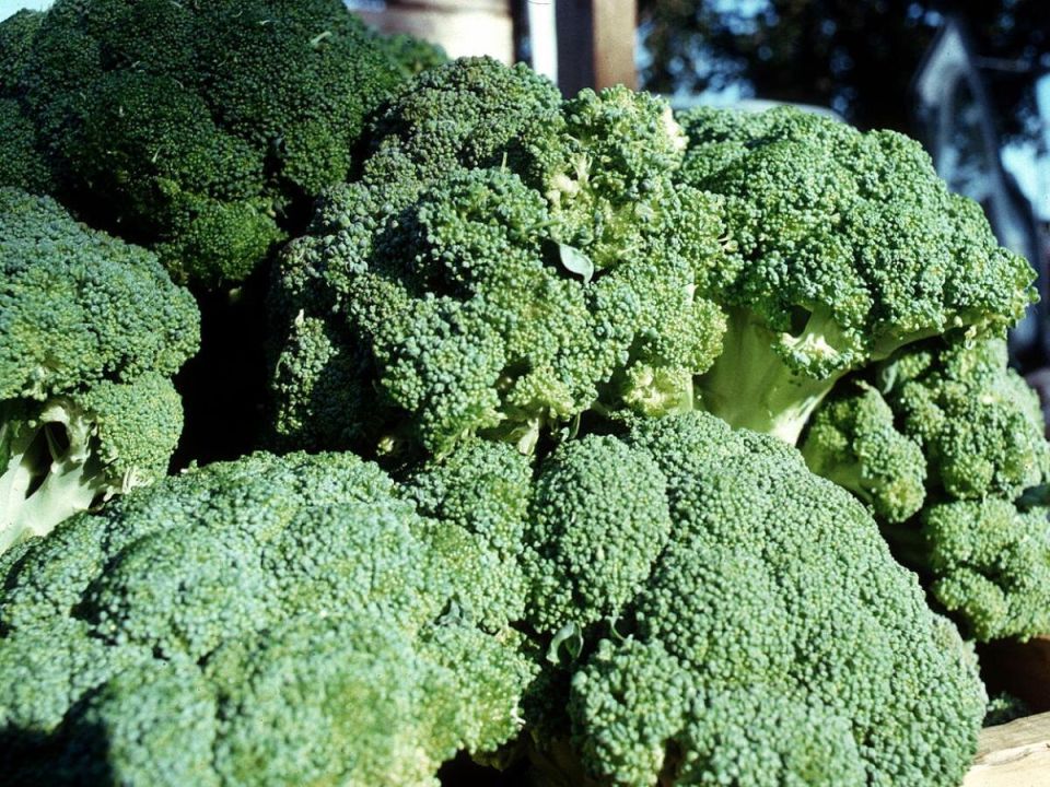 ��� �������� ������������ ��������: ������� ��������� �����