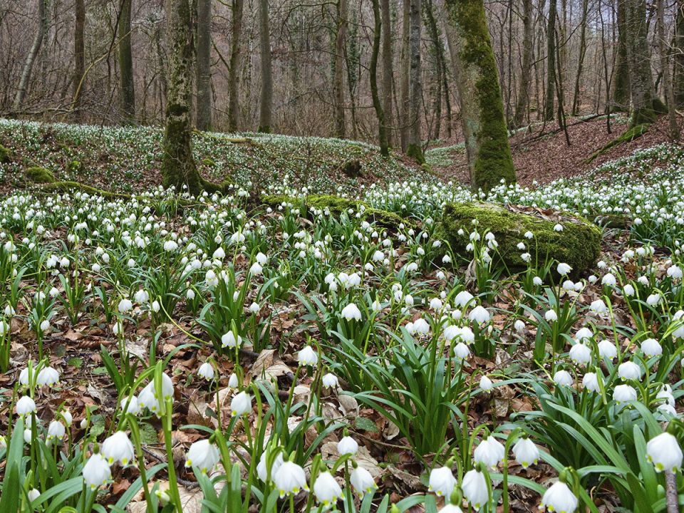 ����� � �������: ��� ���������� ����������� � �����������