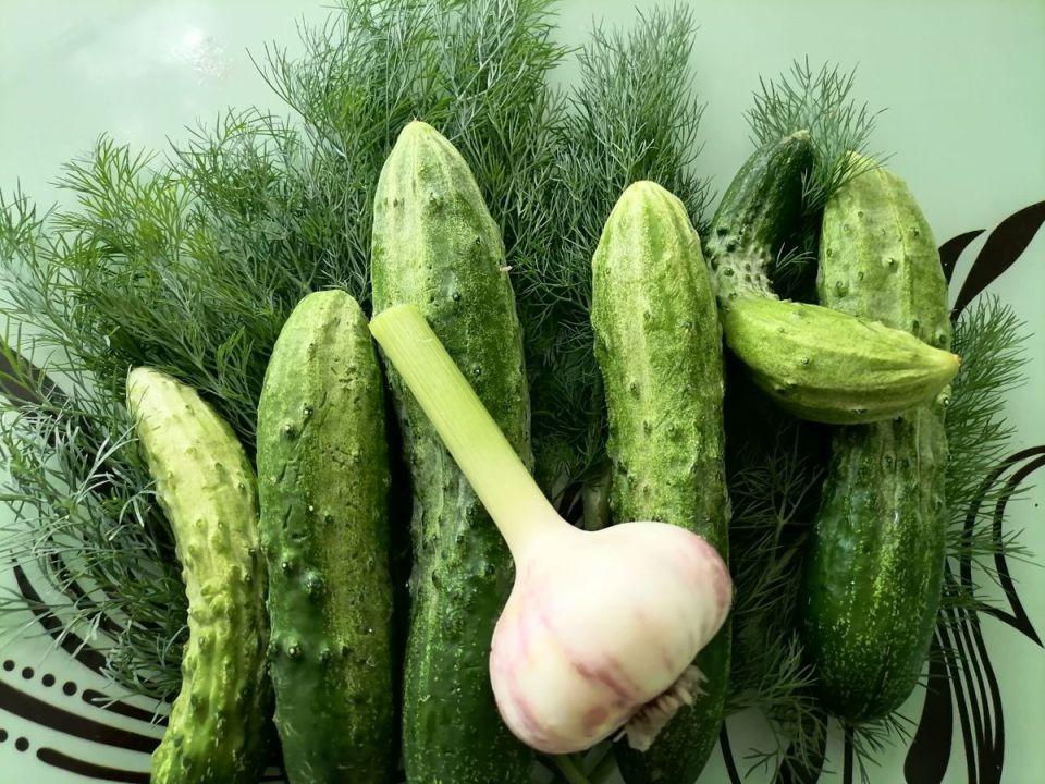 ������ ����: ��� �������� ������, ����� � ������ ��� ��������� �������