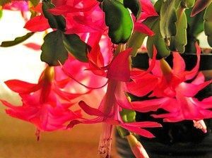 ������ ������ ���������: ������� ����� � �����������