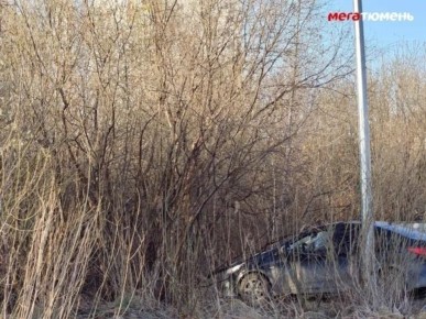 Что грозит матери, оставившей тело новорождённого в лесополосе в Тюмени