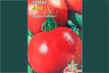 ������ ����: ������� ��������� ������ � ���������� �������������� �����