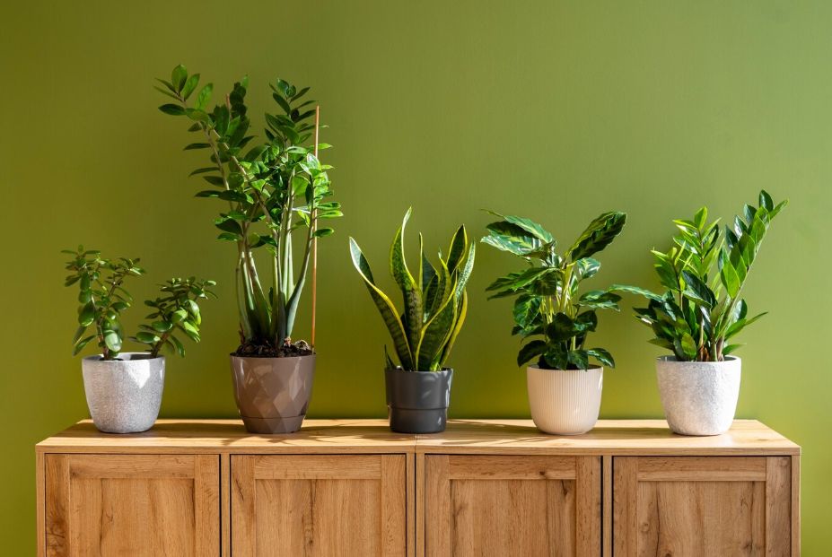 �������� �������� ������ ����������: ���� � ����������