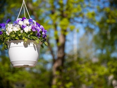 ��� ������� ��� ������ ���������� �����������: ����� ����� ��� ��������� ������