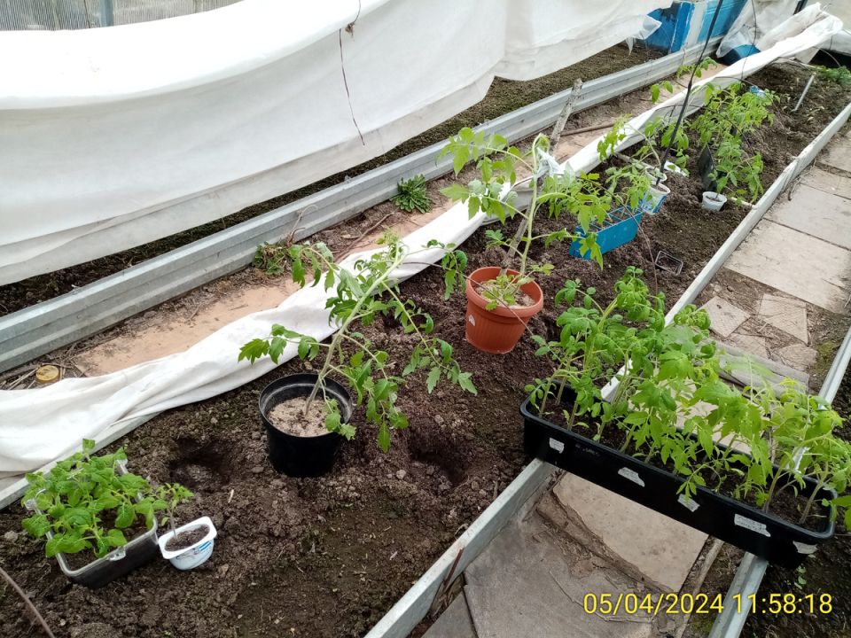 ��� �������� ������ � �������: ����������� ������