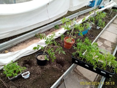 ��� �������� ������ � �������: ����������� ������