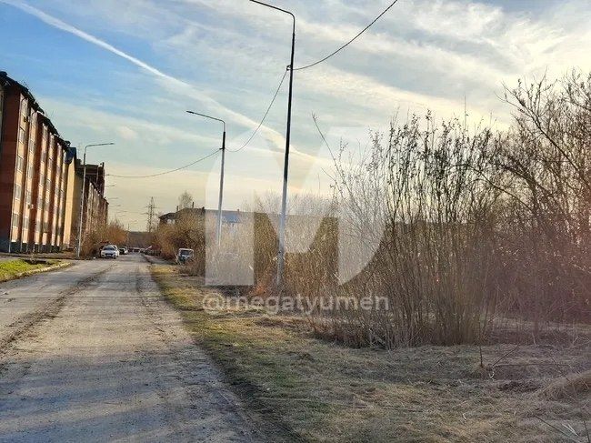 ���� ��������, ���������� ������� � �����, ����������: ������� ���� ���� ������ ������