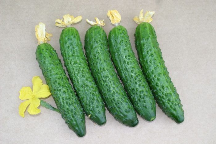 ������ ����: ��������� ������� ��� ������ ������� � �������