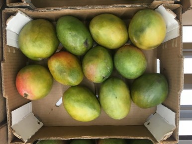 �����: ��� ����� ��� ������������ ������?